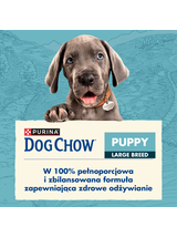 PURINA Dog Chow Puppy Large Breed Turkey 14kg