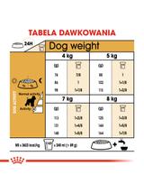 ROYAL CANIN Miniature Schnauzer Adult 3kg karma sucha dla psów dorosłych rasy schnauzer miniaturowy