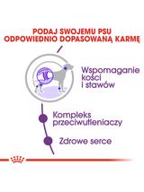 ROYAL CANIN Giant Adult 15kg karma sucha dla psów dorosłych, od 18/24 miesiąca życia, ras olbrzymich +  niespodzianka dla psa GRATIS!