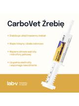 Lab-v CarboVet Źrebię - Preparat na wzdęcia dla źrebiąt 20 ml