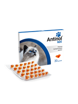 ANTINOL KOT 30 KAPSUŁEK