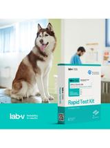 Lab-v Antygen CPV & CCV & GIA – Szybki test diagnostyczny dla psów 2 szt.