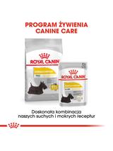 ROYAL CANIN CCN Mini Dermacomfort 8kg karma sucha dla psów dorosłych, ras małych, o wrażliwej skórze, skłonnej do podrażnień