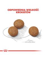ROYAL CANIN Maxi Puppy 15kg karma sucha dla szczeniąt, od 2 do 15 miesiąca życia, ras dużych  + niespodzianka dla psa GRATIS!