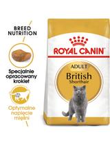 ROYAL CANIN British Shorthair 10kg karma sucha dla kotów dorosłych rasy brytyjski krótkowłosy + Piłka dla kota GRATIS!