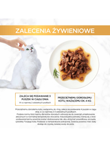 Purina Gourmet Gold Sauce Delight z wołowiną 24x85g