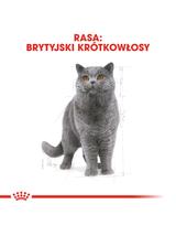 ROYAL CANIN British Shorthair 10kg karma sucha dla kotów dorosłych rasy brytyjski krótkowłosy + Piłka dla kota GRATIS!