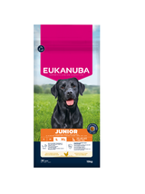 EUKANUBA Junior Large 15kg