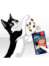 Felix Party Mix Mixed Grill 8x60g