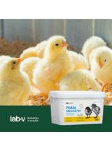 Lab-v Pisklę Mineral Vit – wsparcie wzrostu i mineralizacji kośćca piskląt drobiu grzebiącego 2000 g