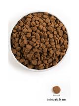 ORIJEN Dog Puppy 11,4kg