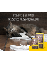 JOSERA Indoor 2kg + NIESPODZIANKA DLA KOTA GRATIS!