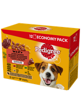 PEDIGREE Adult saszetka 12x100 g - Wybór Smaków w Galaretce, mokra karma pełnoporcjowa w galaretce dla dorosłych psów (kawałki bogate w mieszankę wołowiny i wątróbki, bogate w kurczaka, bogate w mieszankę jagnięciny i wątróbki oraz bogate w drób)