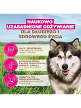 EUKANUBA Adult Large Grain Free 12kg