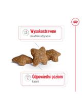 ROYAL CANIN Mini Adult 800g karma sucha dla psów dorosłych, ras małych + niespodzianka dla psa GRATIS