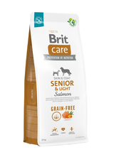 BRIT CARE Dog Grain-free Senior & Light Salmon 12kg/Opakowanie uszkodzone (8667,8651,9348) !!!!