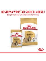 ROYAL CANIN Shih Tzu Adult 12x85g karma mokra -pasztet, dla psów dorosłych rasy shih tzu