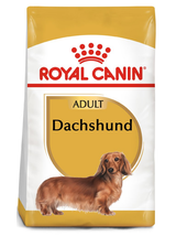 ROYAL CANIN Dachshund 1,5kg karma sucha dla psów dorosłych rasy jamnik