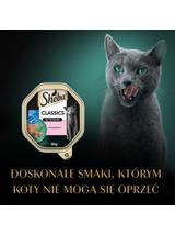 SHEBA Classics tacka 22x85 g – mokra karma pełnoporcjowa dla dorosłych kotów, z łososiem, w terynie