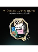 SHEBA Classics tacka 22x85 g – mokra karma pełnoporcjowa dla dorosłych kotów, z łososiem, w terynie