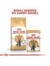 ROYAL CANIN British Shorthair 10kg karma sucha dla kotów dorosłych rasy brytyjski krótkowłosy + Piłka dla kota GRATIS!