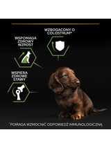 PRO PLAN Healthy Start Small & Mini Puppy Karma dla szczeniąt bogata w kurczaka 7kg / Opakowanie uszkodzone (2566,8962) !!!
