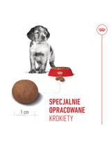 ROYAL CANIN Medium Puppy 15kg karma sucha dla szczeniąt, od 2 do 12 miesiąca, ras średnich / Opakowanie uszkodzone (1176,5251,6351,8568) !!!