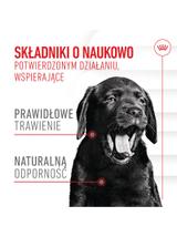 Royal Canin Puppy Immunity & Digestion Chews 100g
