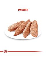 ROYAL CANIN CCN Urinary Care 12x85g karma mokra - pasztet dla psów dorosłych