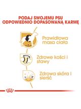 ROYAL CANIN® Labrador Retriever Adult 11,5 kg karma sucha dla psów dorosłych do 5. roku życia, rasy labrador retriever / Opakowanie uszkodzone (5766)!!!