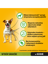 PEDIGREE Adult saszetka 12x100 g - Wybór Smaków z Warzywami w Sosie - mokra karma pełnoporcjowa dla dorosłych psów (kawałki bogate w kurczaka, kawałki bogate w mieszankę wołowiny i wątróbki, kawałki bogate w indyka)