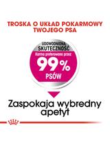 ROYAL CANIN CCN Mini Exigent 1kg karma sucha dla psów dorosłych, ras małych, wybrednych