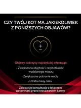 PRO PLAN Veterinary Diets DM St/Ox Diabetes Management Karma sucha dla kota 5kg Opakowanie uszkodzone (2582,2889,4929,6373)