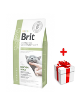 Brit gf veterinary diets cat diabetes 2kg + niespodzianka dla kota GRATIS!