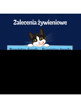 FELIX Łosoś w galaretce - saszetka 26x85g