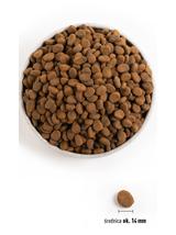 ORIJEN Tundra Dog 11,4kg