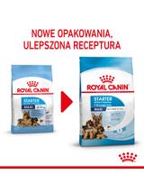 ROYAL CANIN Maxi Starter Mother&Babydog 15kg karma sucha dla suk w ciąży i okresie laktacji oraz szczeniąt, od 4 do 8 tygodnia życia, ras dużych