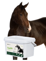 Lab-v Horse Care Box – Zestaw prezentowy dla konia