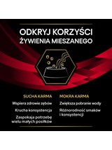 PRO PLAN Veterinary Diets DM St/Ox Diabetes Management Karma dla kotów 85g