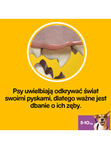 PEDIGREE Dentastix przysmaki dentystyczne dla psa małe rasy 2x56 szt