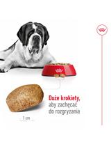 ROYAL CANIN Giant Adult 15kg karma sucha dla psów dorosłych, od 18/24 miesiąca życia, ras olbrzymich