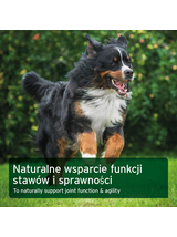 AniForte Formuła stawowa VET - suplementy dla psa - 120 tabletek