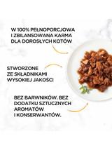 Purina Gourmet Gold kaczka/indyk w sosie 48x85g