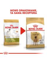 ROYAL CANIN Great Dane Adult 12kg karma sucha dla psów dorosłych rasy dog niemiecki