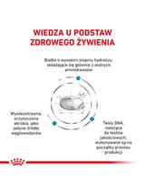ROYAL CANIN Dog anallergenic 8kg sucha karma dla dorosłych psów z alergią pokarmową z objawami dermatologicznymi i/lub żołądkowo-jelitowymi / Opakowanie uszkodzone (3568,4939,4843,5109,6878,7928) !!!