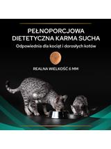 PRO PLAN Veterinary Diets EN St/Ox Gastrointestinal Karma sucha dla kota 5kg