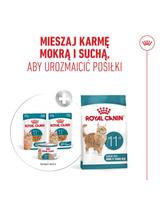 ROYAL CANIN mokra karma dla kotów, Senior Ageing 11+,can 85 g
