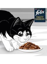 FELIX Tasty Shreds Karma dla dorosłych kotów wiejskie smaki w sosie 12x(4x80g)