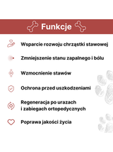 Lab-v Arthrohard 250ml Preparat na wsparcie stawów dla psa i kota