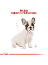 ROYAL CANIN French Bulldog Puppy 10kg karma sucha dla szczeniąt do 12 miesiąca, rasy bulldog francuski + niespodzianka dla psa GRATIS!